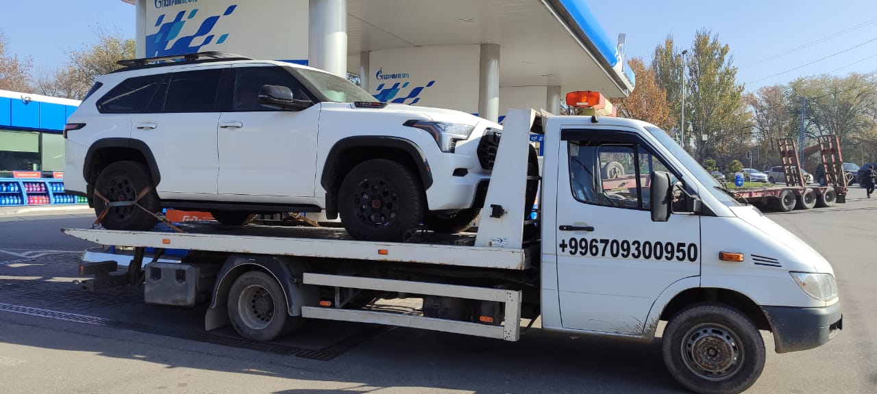 Галерея фото 10